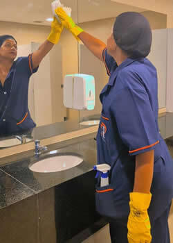 Alternativa Servicos 21